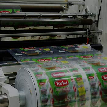 Film and Printing Plant